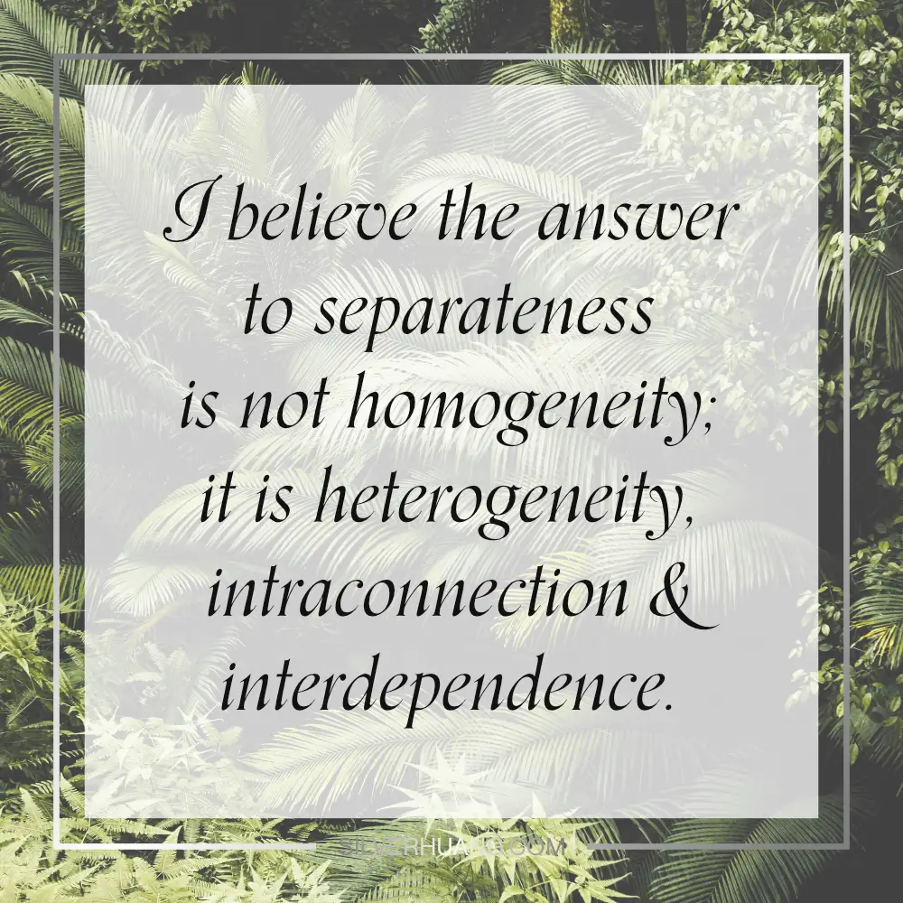 I believe the answer to separateness is not homogeneity; it is heterogeneity, intraconnection & interdependence.