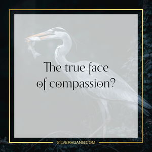 The true face of compassion?