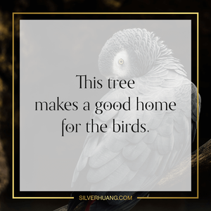 This tree makes a good home for the birds.