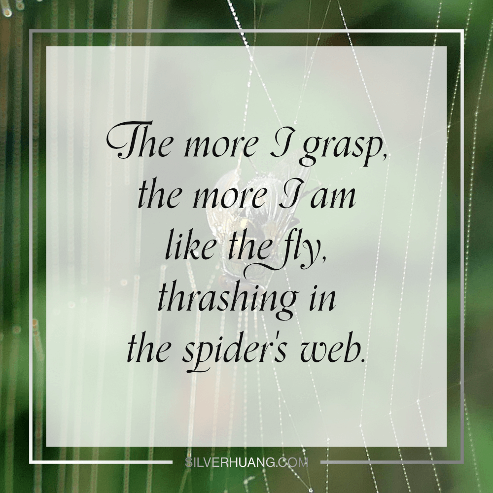 The more I grasp, the more I am like the fly, thrashing in the spider's web.